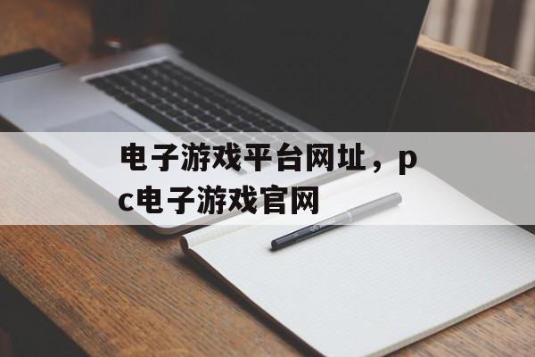 电子游戏平台网址，pc电子游戏官网